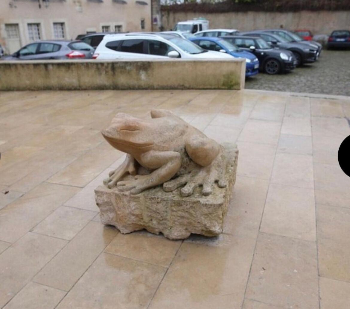 "La Grenouille" Centre Historique - Les Terres Du Roy Villa Avallon Ngoại thất bức ảnh